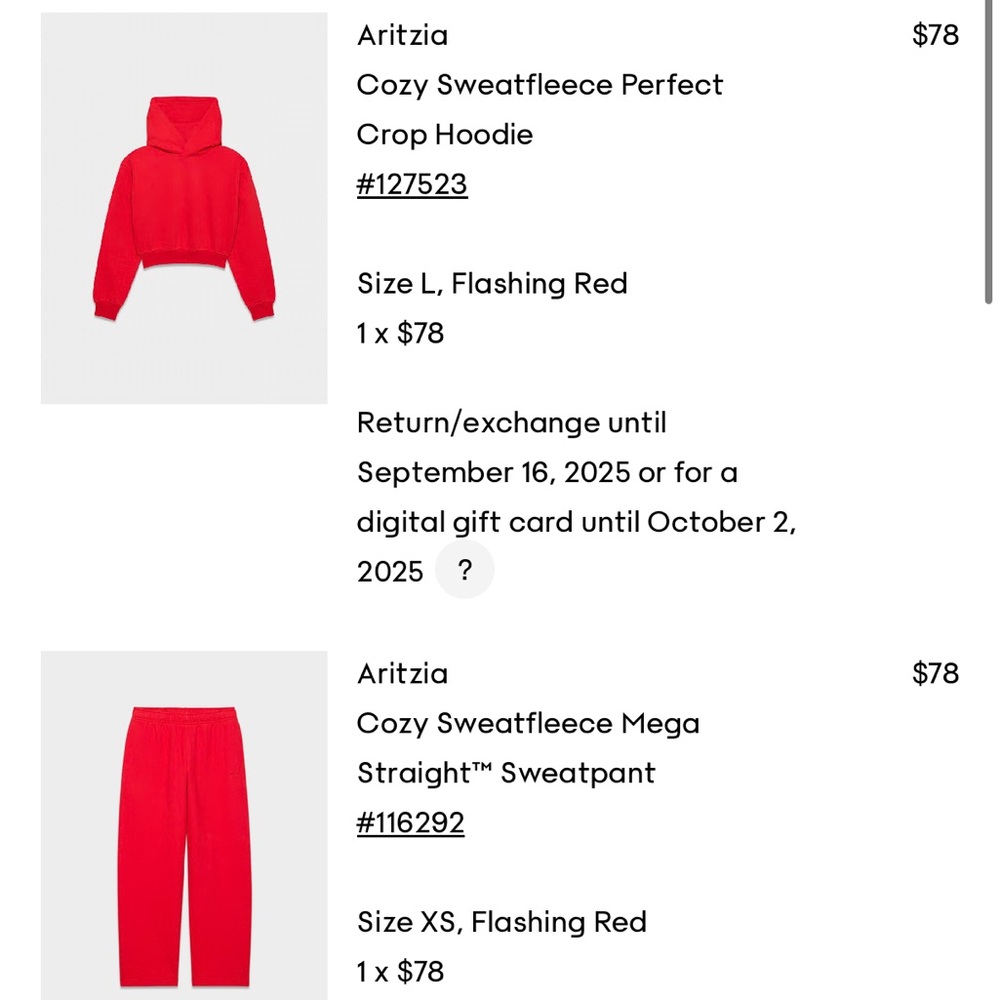 Aritzia Flashing Red Hoodie and Sweatpants Set NWOT